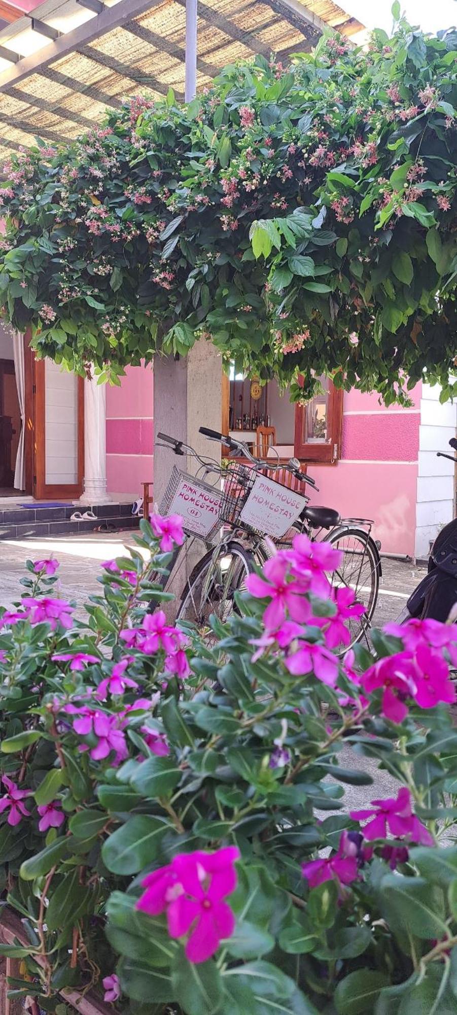 Ms Tri Homestay Hoi An Exterior foto